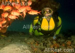 Divi Aruba Beach Resort Mega 21